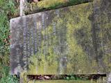 image of grave number 896228